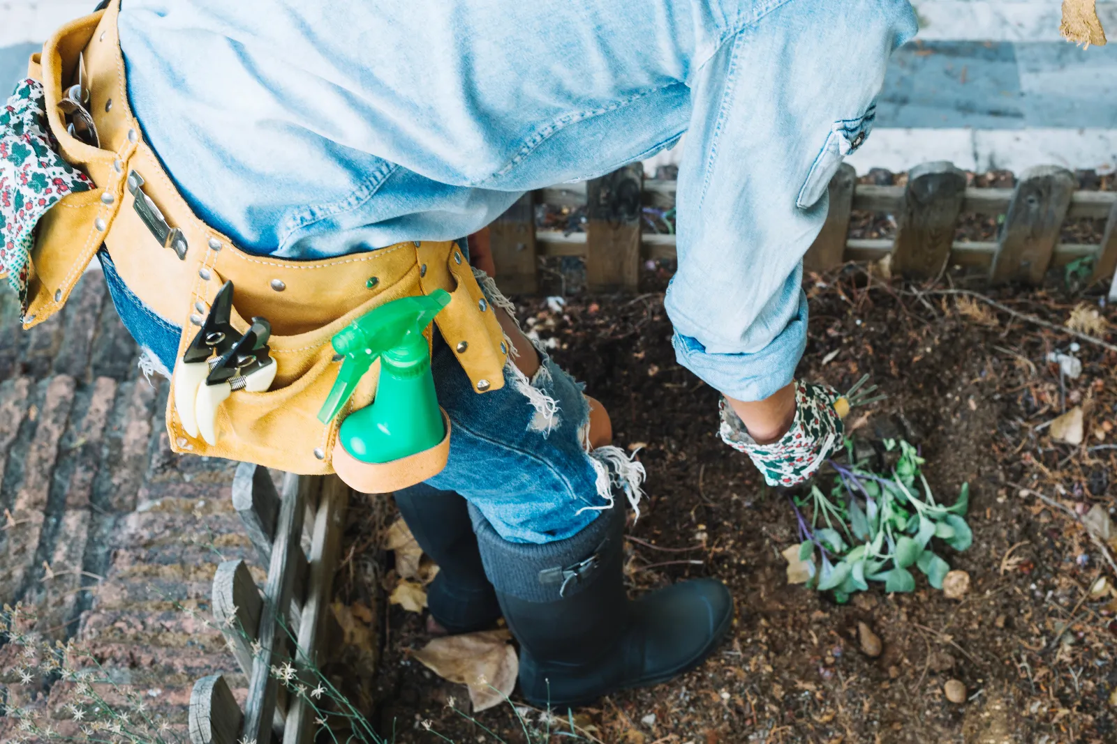 Storm Drain cleaning