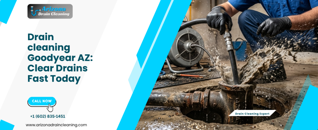 drain cleaning Goodyear AZ