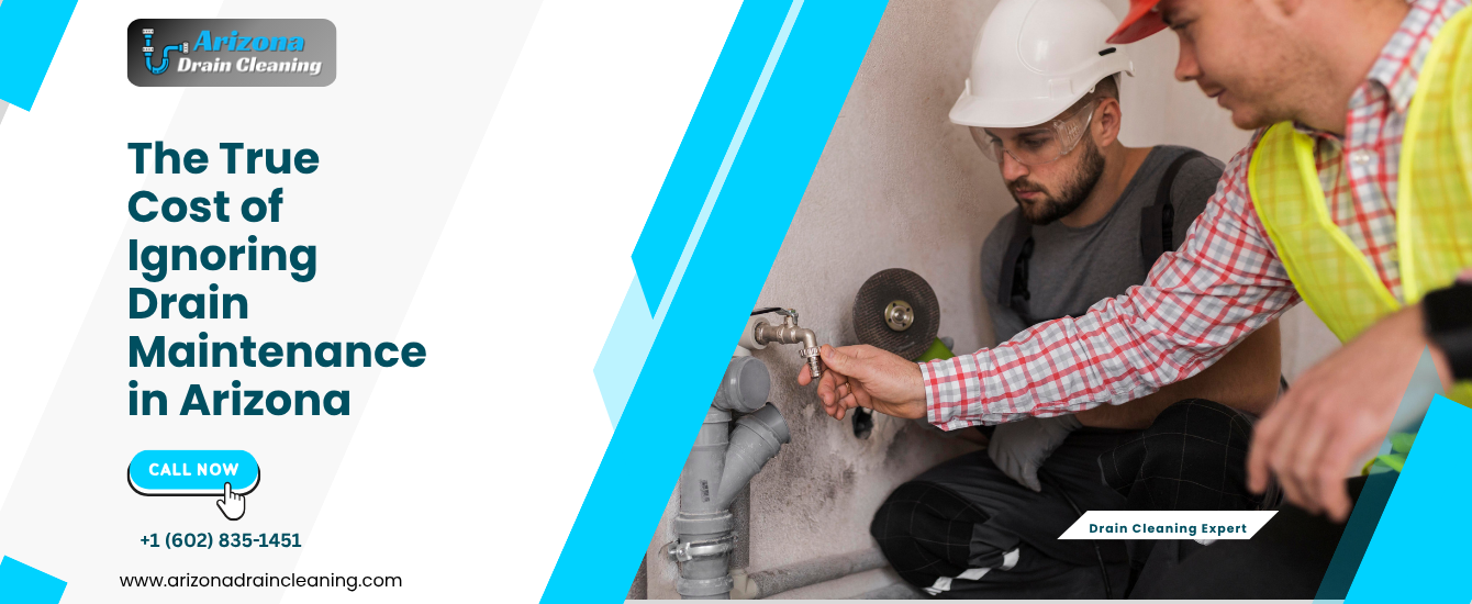 cost of ignoring drain maintenance Arizona